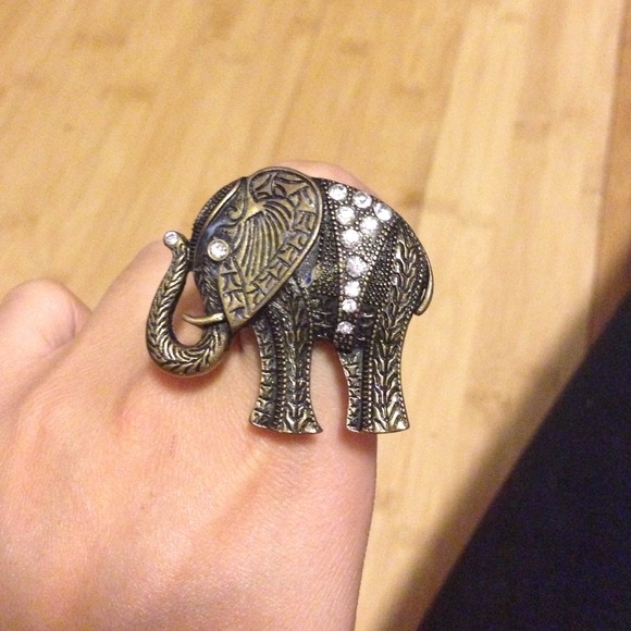 Elephant ring