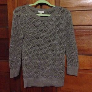 Ann Taylor Loft sweater