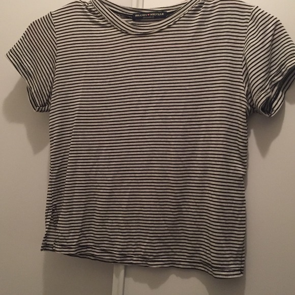 Brandy Melville Crop Top