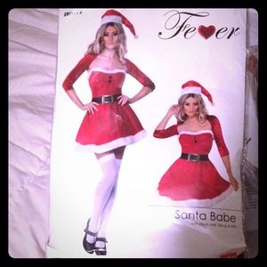 Sexy Santa Babe costume