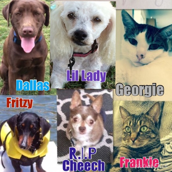 Buyer & Seller: Boutique and pre-loved Pieces❤️ - Picture 2 of 4