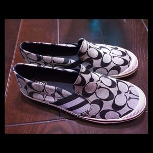 Coach shoes