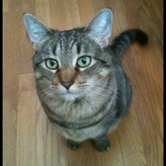 💜▪️💜TAKE A LOOK!▪️💜▪️ - Picture 2 of 5