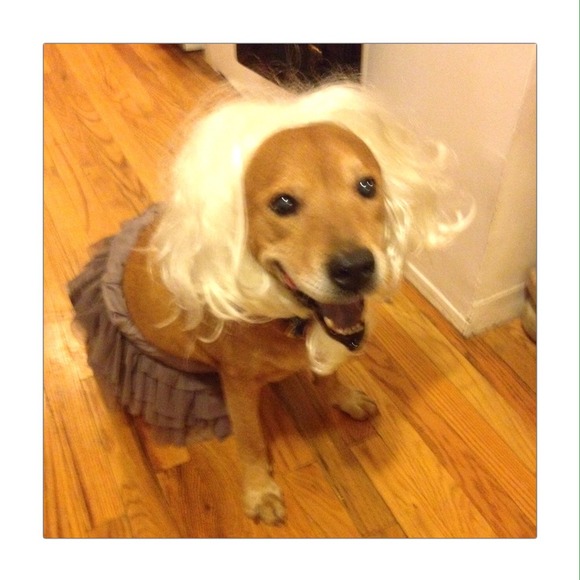 It's almost time for Halloween!