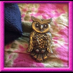 Owl Pin/Brooch with baby owl earrings.