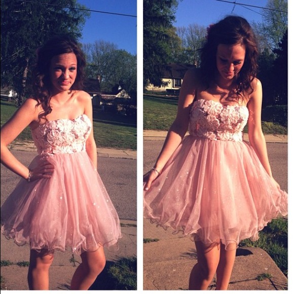 Pink Rose Tulle dress
