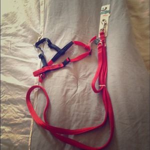 Brand new red halti harness and leash !! 🐶