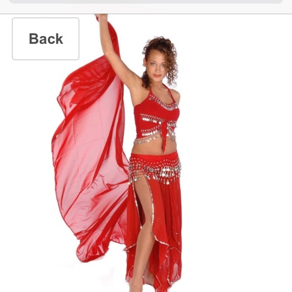 Belly Dancer Halloween Costume