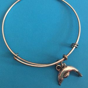 Dolphin Alex and Ani silver