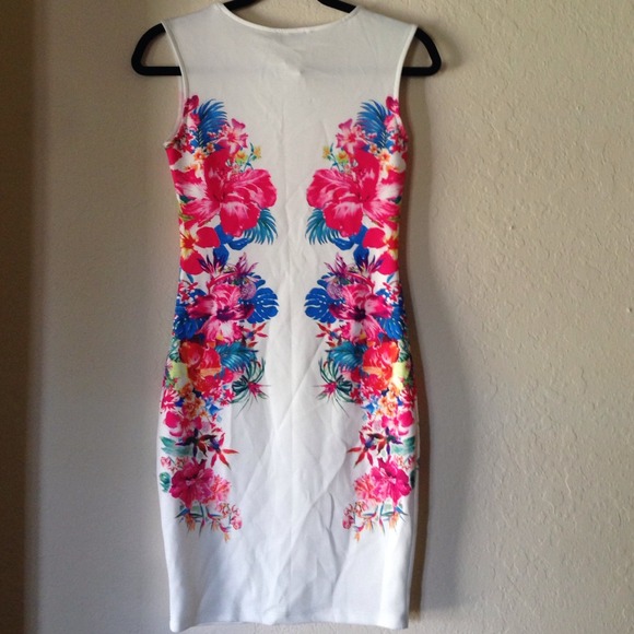 Bundle - NWOT Beautiful Floral Mirrored dress - Picture 2 of 2
