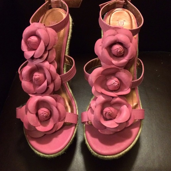 Pink 3 Rose Wedges