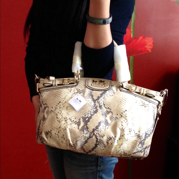 🚫SOLD🚫Coach Madison Embossed Python Sophia - Picture 4 of 4