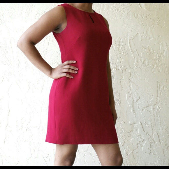 🆕 Petite Sophisticate Ruby Red Dress