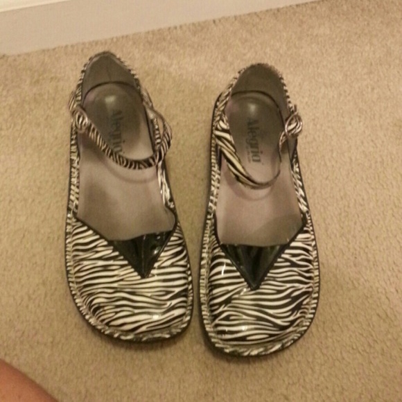 Alegria zebra