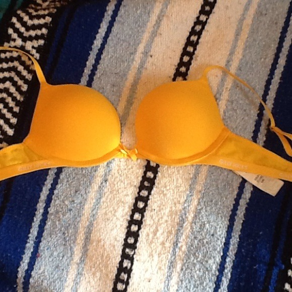 Gilly hicks bra!