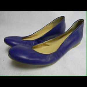 J.Crew Cece Ballet flats. Never been worn.