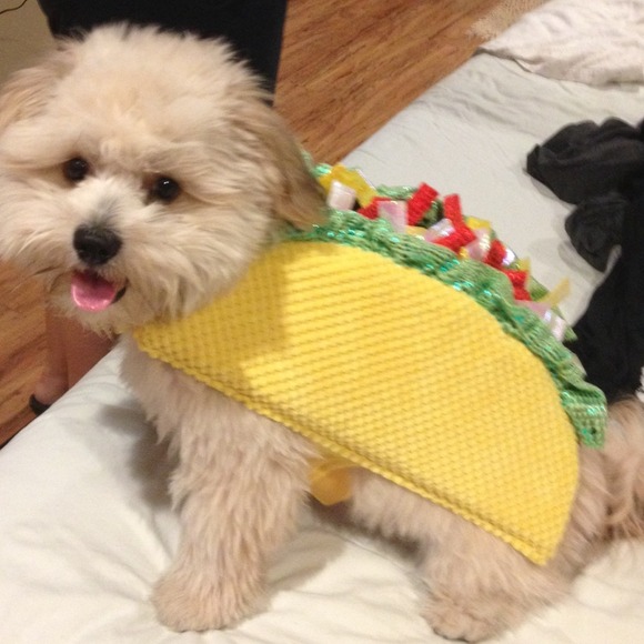 Petco Dresses