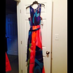 Colorful Muse Maxi Dress