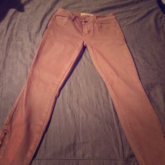 Bundle for k_donohue