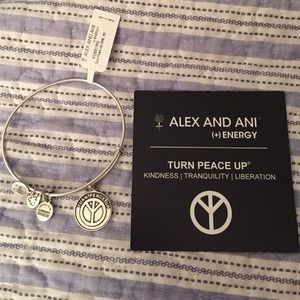 Alex And Ani Bracelete