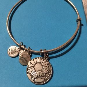 Retired Niece Alex and Ani