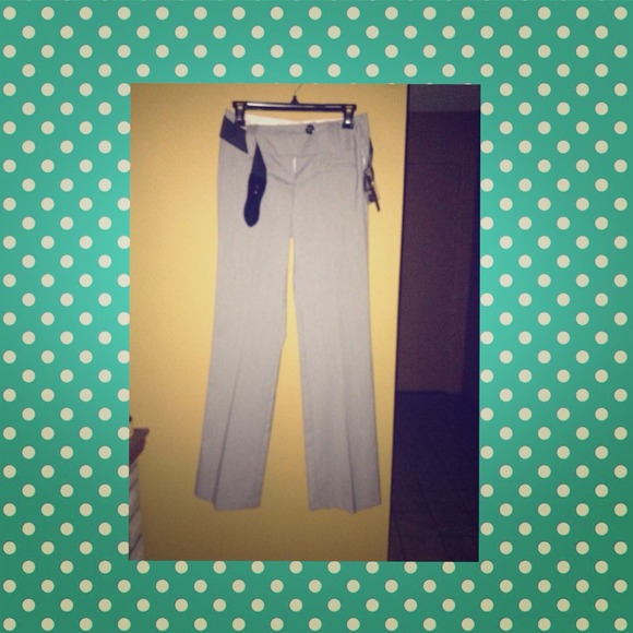 Dress Pants