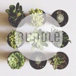 Bundle for @omori :)