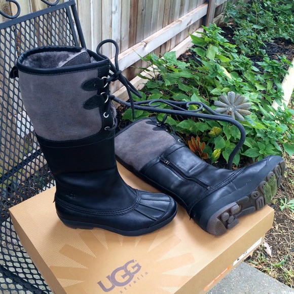UGG duck collection UGG duck collection