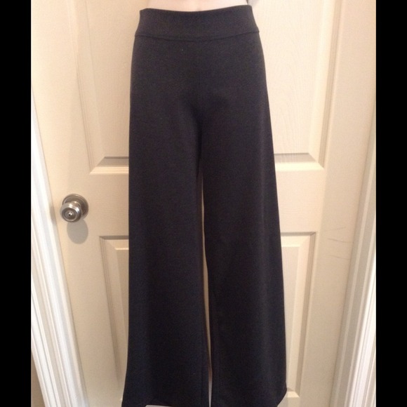 NWOT Charcoal Sophie Max Wide Leg Pants