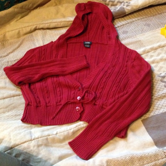 Vanity deep red crop sweater