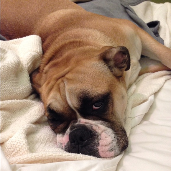 🌻Meet your seller!!🌻 - Picture 4 of 5