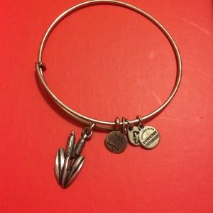 Alex and ani