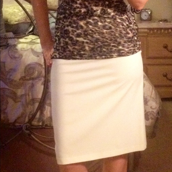Pencil skirt