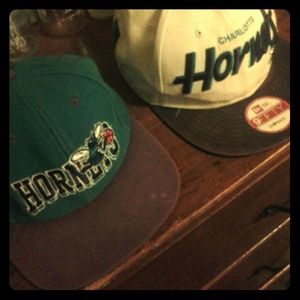 Charlotte Hornets snapbacks