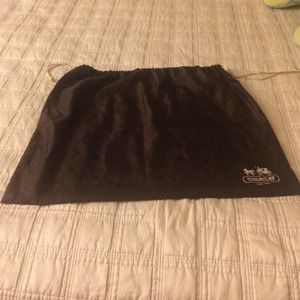 Coach dust bag🌸