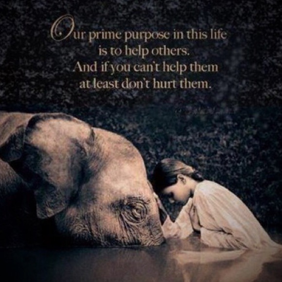 💗HUMAN KINDNESS💗