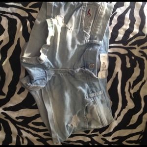 Hollister Shorts Bundle