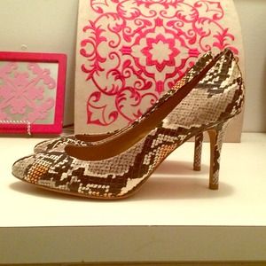Coach snakeskin pump