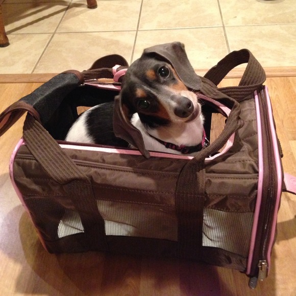 New! Sherpa small dog/cat carrier