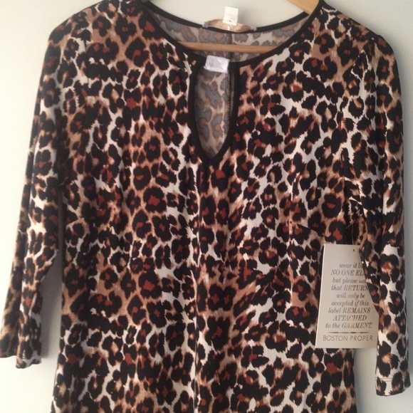 Boston Proper final ❤️ Animal Scroll Shift Dress❤ - Picture 3 of 4