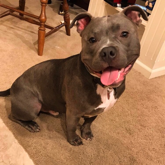 Meet The Posher - Rachel 💋😊💎👑 - Picture 3 of 4