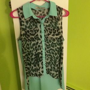 Mint and cheetah blouse