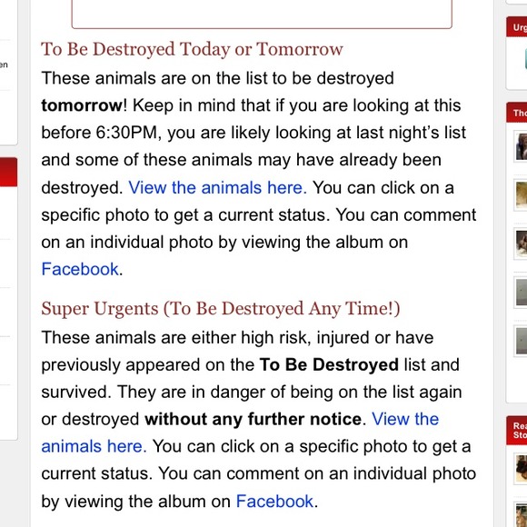 15% EVERYTHING I sell goes to Humane Societies - Picture 2 of 2