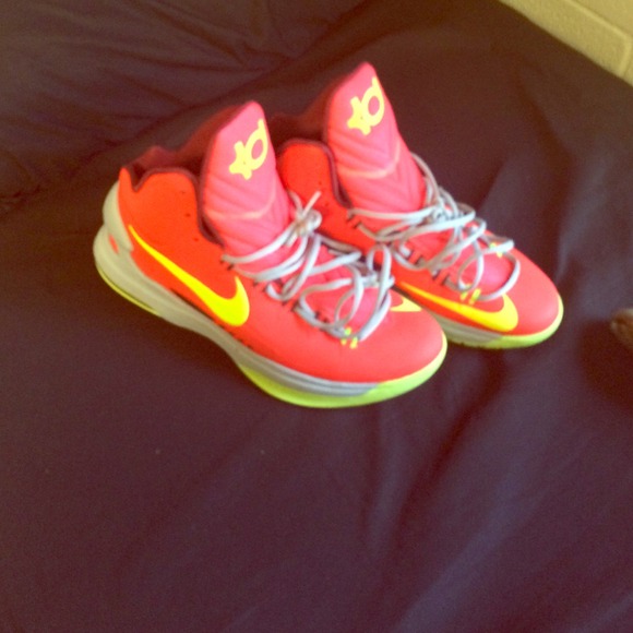 Kd V DMV