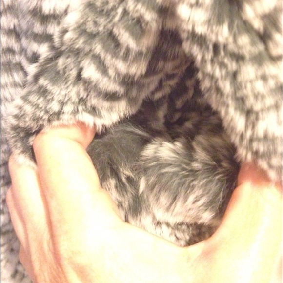 Rabbit Fur zip jacket/chubby by Trilogy. - Picture 4 of 4