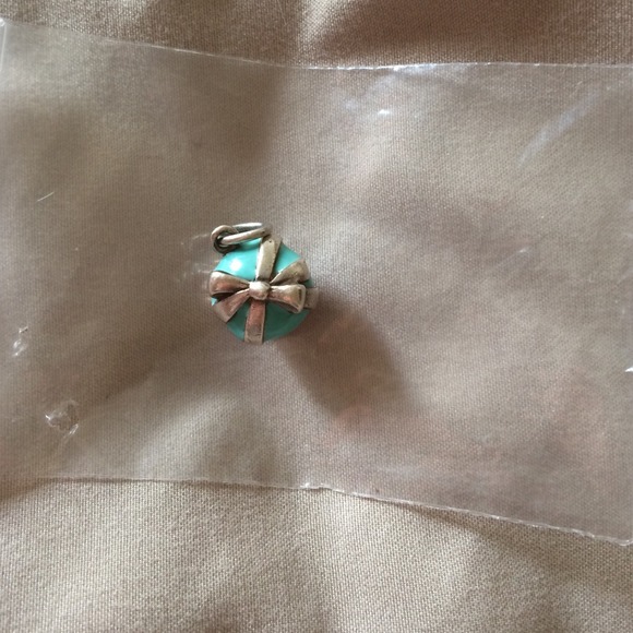 Charm for charm bracelet