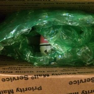 Packed and about to be on their way!