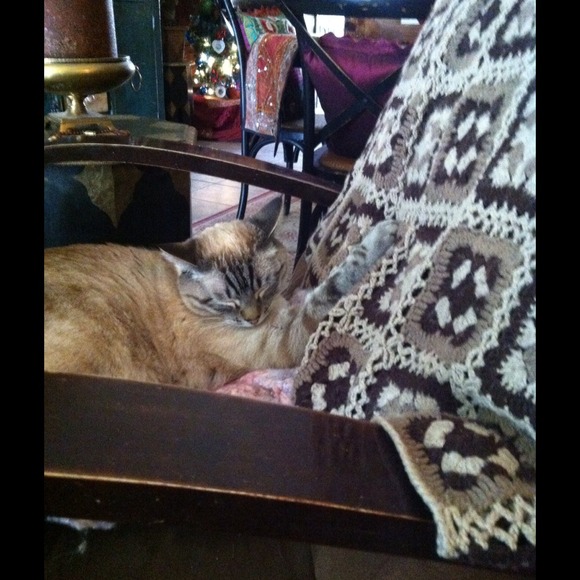 🎉HP 10/14🎉SOLD BUNDLED FOR LISA BJ Sunnies💗 - Picture 4 of 4