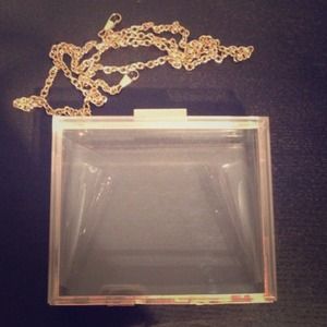 Transparent see through clutch
