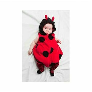 Infants 3-6 month costume